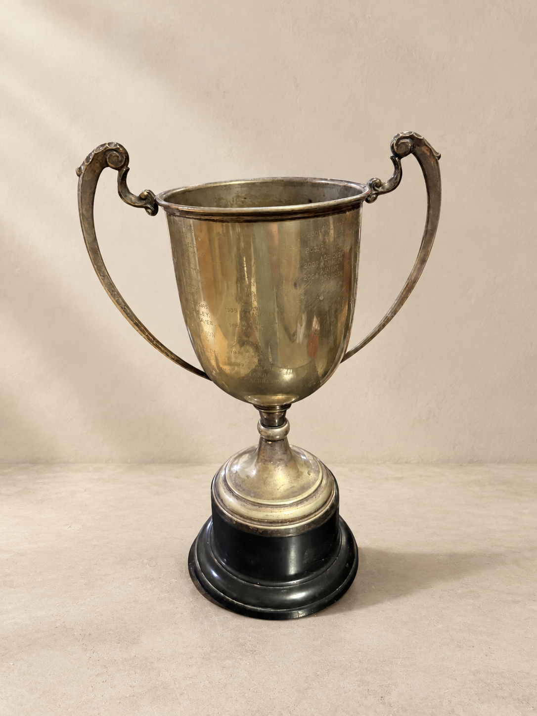 Silver-Plated Presentation Trophy Cup